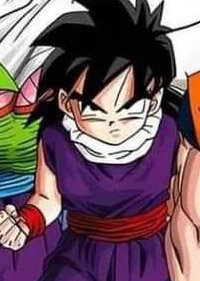 Son Gohan