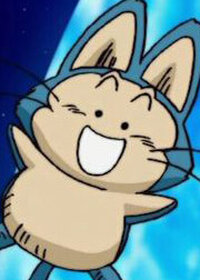 Puar