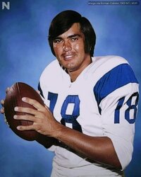 Roman Gabriel