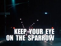 Keep Your Eye on the Sparrow