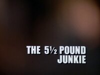 The 5½ Pound Junkie