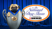 The National Dog Show