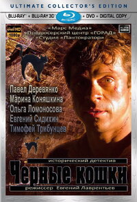 Чёрные кошки