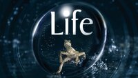 Life