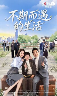 Life Optimal Solution