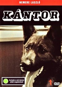Kántor