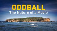 Oddball: The Nature of a Movie