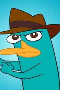 Perry the Platypus