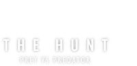 The Hunt