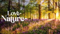 Love Nature