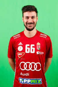 Máté Lékai