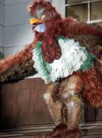 Do-Do Bird
