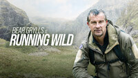 Bear Grylls Is Running Wild