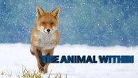 The Animal Within