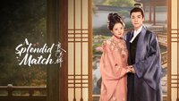 A Splendid Match