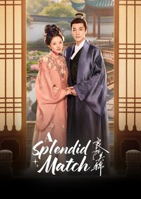 A Splendid Match