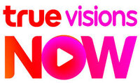 TrueVisions Now
