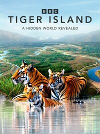Tiger Island