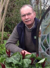 George Anderson