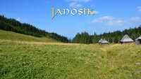 Janosik