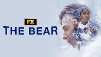 The Bear