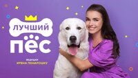 Лучший пёс