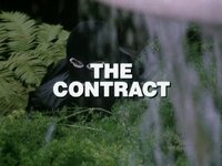 The Contract