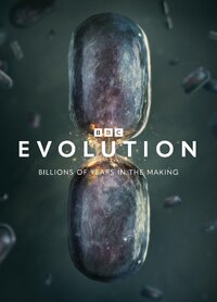 Evolution