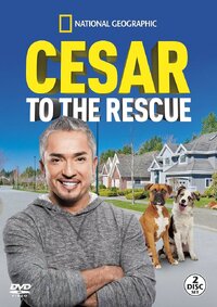 Cesar 911