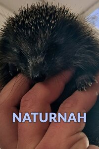 NaturNah