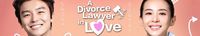 A Divorce Lawyer in Love