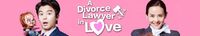A Divorce Lawyer in Love