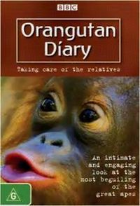 Orangutan Diary