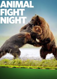 Animal Fight Night