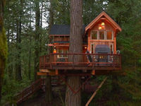 Apres Skihouse Treehouse