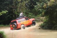 Jungle Road