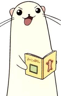 Chamomile Albert