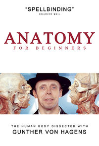 Anatomy for Beginners