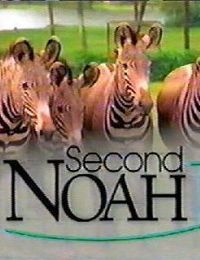 Second Noah