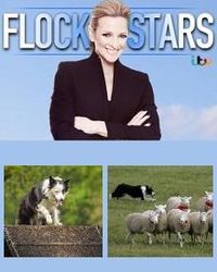 Flockstars
