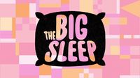 The Big Sleep
