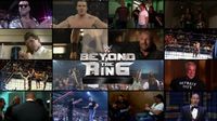 WWE Beyond the Ring
