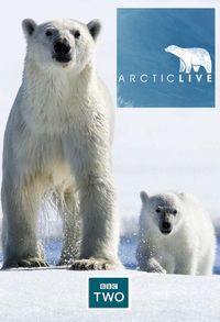 Arctic Live