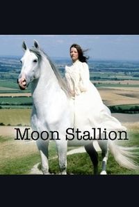 The Moon Stallion