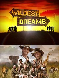 Wildest Dreams
