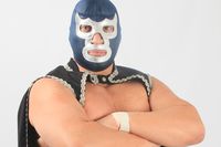Blue Demon