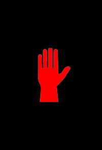 Bible Black New Testament