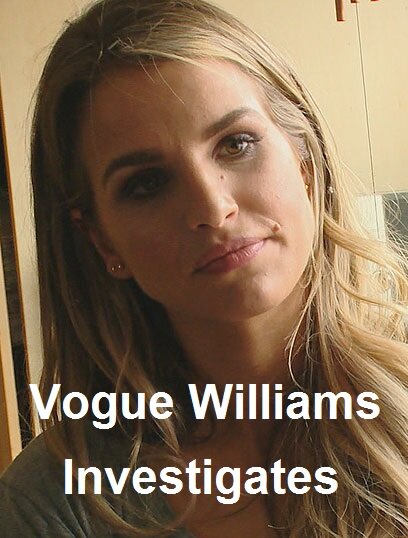 Vogue Williams Investigates poster