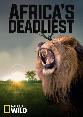 Africa's Deadliest Season 1 poster