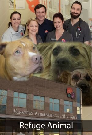 Refuge Animal poster